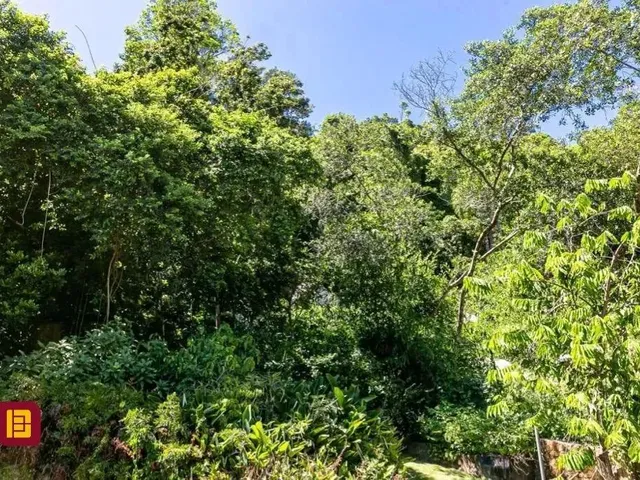 Imagem 15: Casa em Lagoa da Conceição