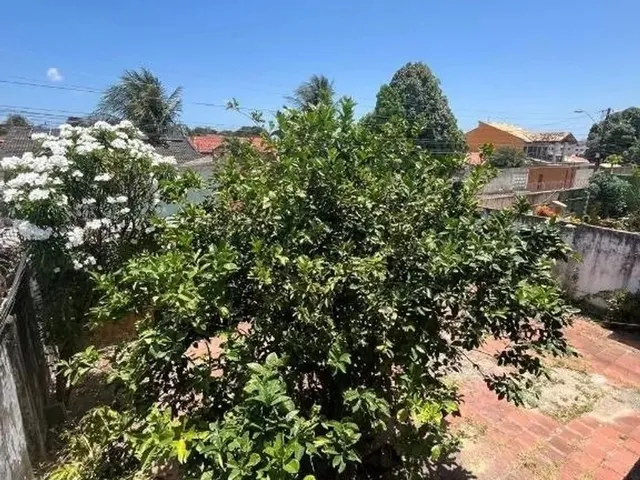 Imagem 6: Casa Duplex no Bairro Parque Dois Irmãos
