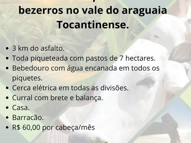 Imagem: Arrendo Fazenda para 2 Mil Bezerros