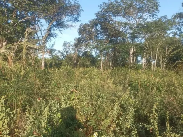 Imagem: Chacara Sentido Aparecida Vender Urgente