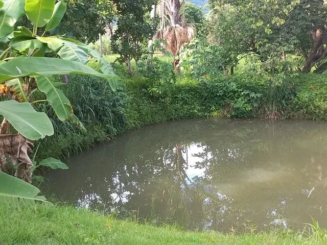 Imagem 13: Vende Se Chácara no São João 1