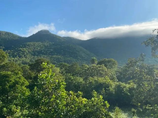 Imagem: Lote em Chácara a 5Km de Palmas