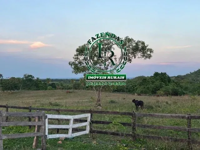 Imagem 7: Fazenda Próximo a Paraiso Tocantins