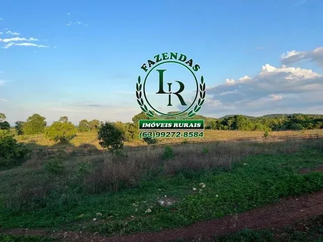 Imagem 8: Fazenda Próximo a Paraiso Tocantins