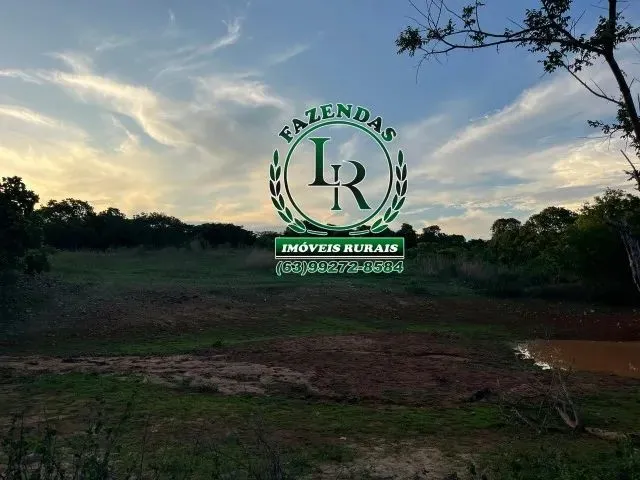 Imagem 4: Fazenda Próximo a Paraiso Tocantins