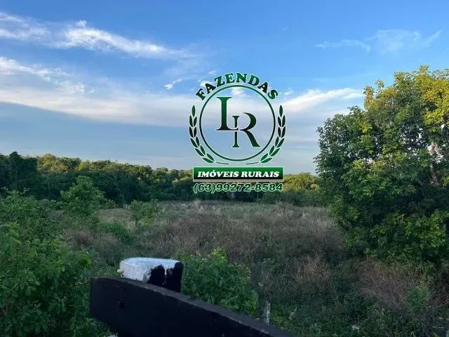 Imagem 6: Fazenda Próximo a Paraiso Tocantins