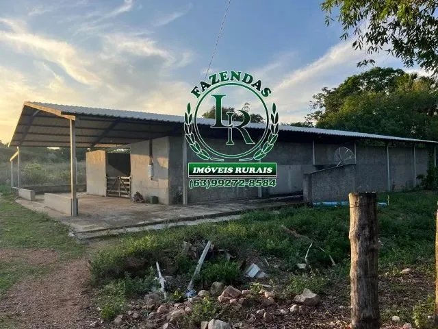 Imagem 2: Fazenda Próximo a Paraiso Tocantins