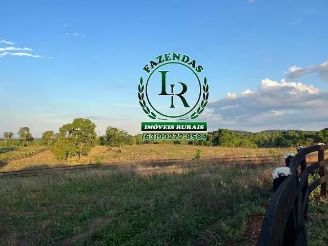 Imagem 5: Fazenda Próximo a Paraiso Tocantins