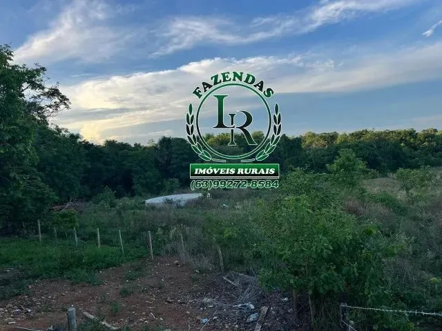 Imagem 9: Fazenda Próximo a Paraiso Tocantins