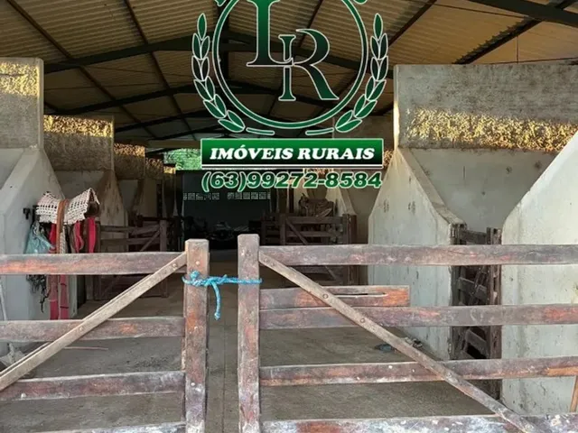 Imagem 15: Fazenda Próximo a Paraiso Tocantins