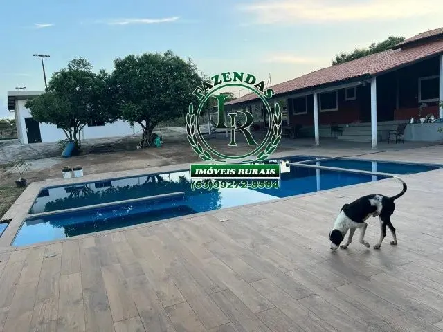 Imagem 16: Fazenda Próximo a Paraiso Tocantins