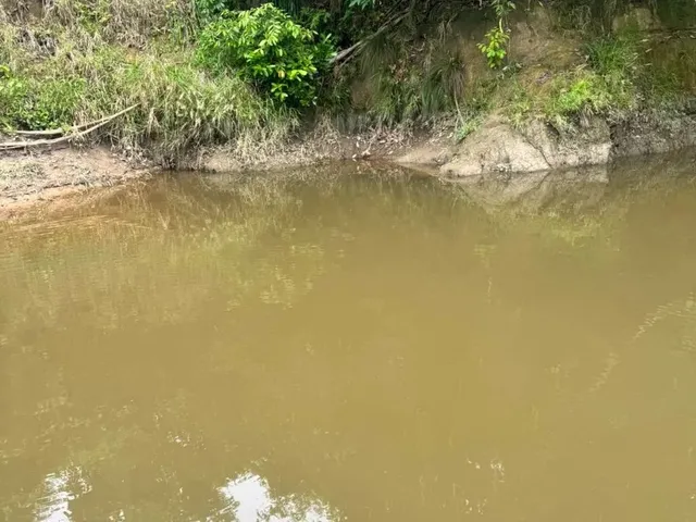 Imagem: Vende Se Chácara na Margem do Rio Gameleira