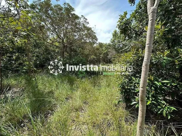 Imagem: Terreno À Venda, 3735 M² por R$ 600.000,00
