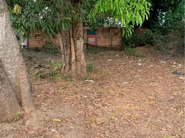 Imagem 2: Lote de 489M² no Centro de Taquaruçu