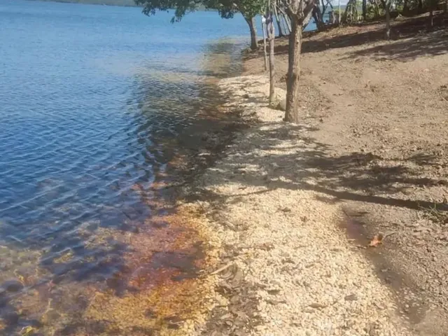 Imagem: Chácara Beira Lago, Sentindo Lageado C