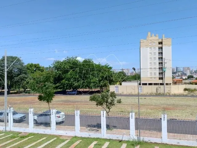Imagem: Venda de Apartamentos / Padrão na Cidade