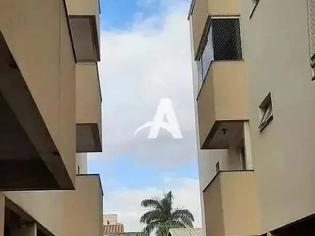Imagem 10: Aluguel Apartamento santa Mônica