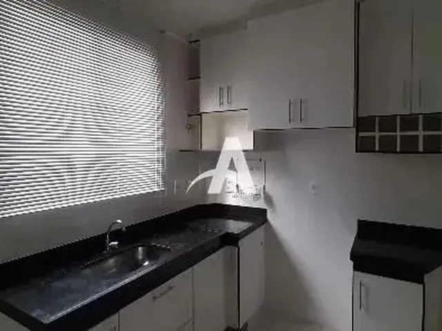 Imagem 3: Aluguel Apartamento santa Mônica