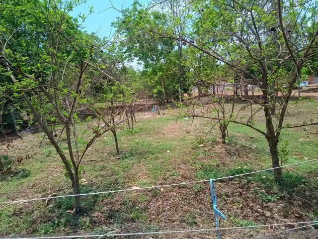 Imagem 5: Vendo Sítio Ou Troco por Casa na Cidade Cuiabá