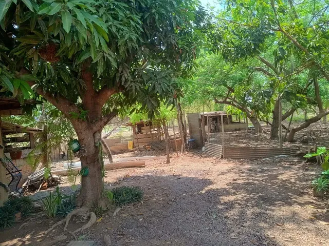 Imagem 6: Vendo Sítio Ou Troco por Casa na Cidade Cuiabá