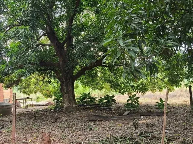 Imagem: Vende-Se Terreno - Cinturão Verde