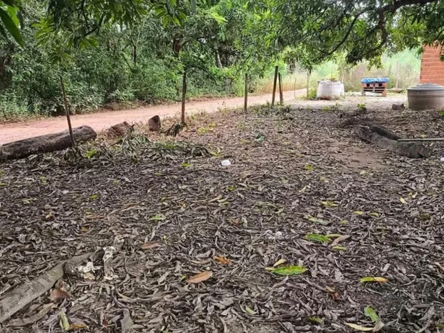 Imagem 2: Vende-Se Terreno - Cinturão Verde