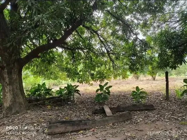 Imagem 5: Vende-Se Terreno - Cinturão Verde