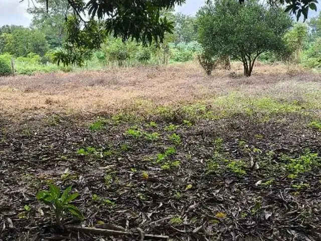 Imagem 6: Vende-Se Terreno - Cinturão Verde