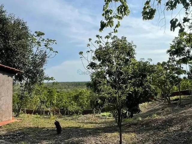 Imagem 7: Chácara na Estrada do Distrito da Guia com 2 Hectares com Excelente Localização