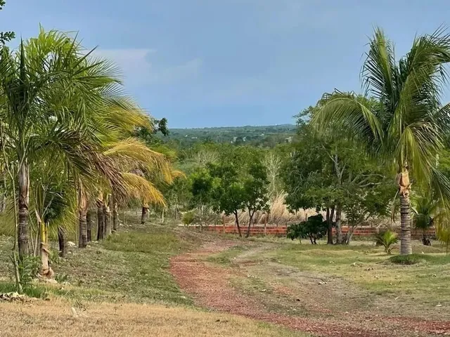 Imagem 6: Chácara na Estrada do Distrito da Guia com 2 Hectares com Excelente Localização