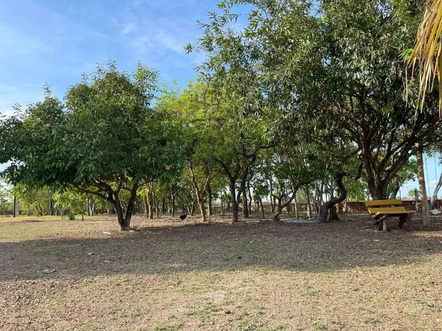 Imagem 3: Chácara na Estrada do Distrito da Guia com 2 Hectares com Excelente Localização