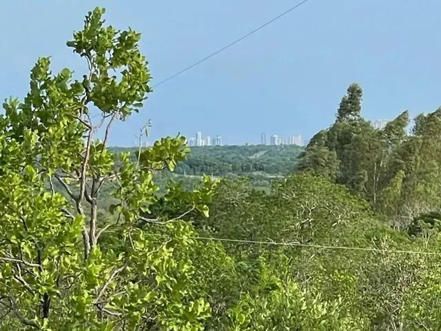 Imagem 15: Chácara na Estrada do Distrito da Guia com 2 Hectares com Excelente Localização