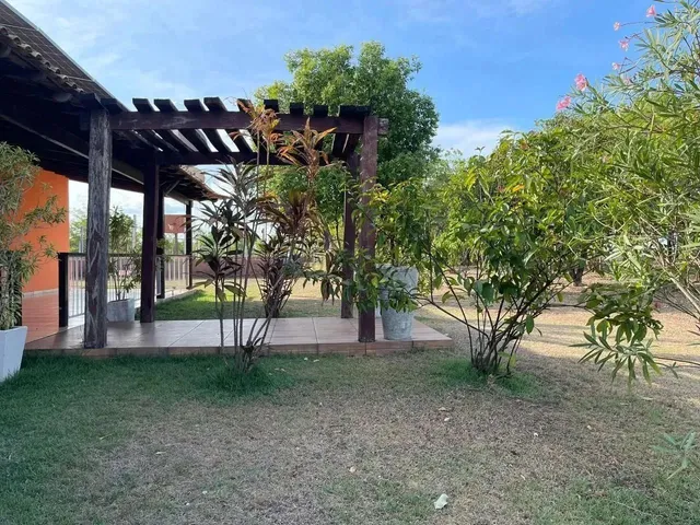 Imagem 5: Chácara na Estrada do Distrito da Guia com 2 Hectares com Excelente Localização