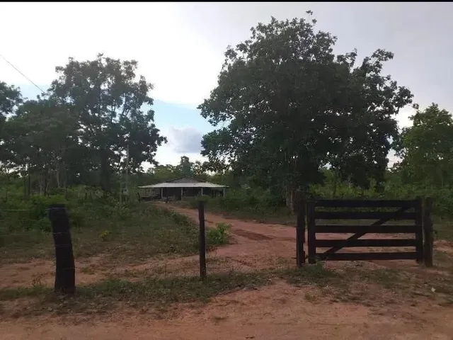 Imagem: Chácara de 7,5 Hectares na Região da Cidade