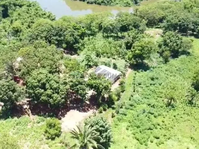 Imagem: Sítio de 29 Hectares na Região do Rio