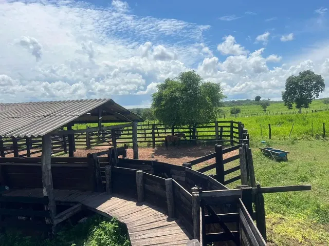Imagem: Fazenda de 1.200 Hectares Sentido Cáceres
