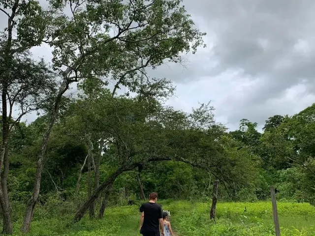Imagem 11: Sítio 3 Dormitórios À Venda Área Rural de Cuiabá Cuiabá/Mt
