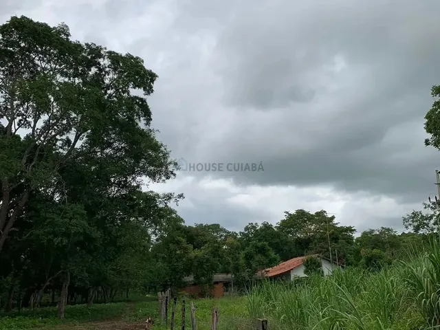 Imagem 8: Sítio 3 Dormitórios À Venda Área Rural de Cuiabá Cuiabá/Mt