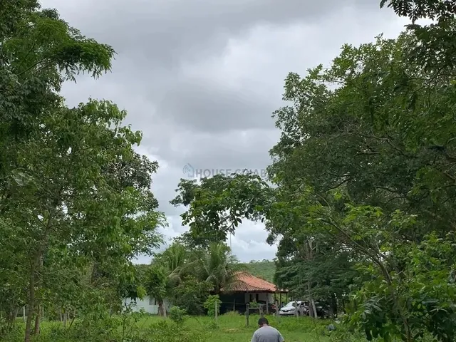 Imagem 16: Sítio 3 Dormitórios À Venda Área Rural de Cuiabá Cuiabá/Mt