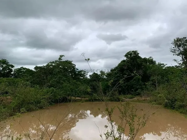 Imagem 15: Sítio 3 Dormitórios À Venda Área Rural de Cuiabá Cuiabá/Mt