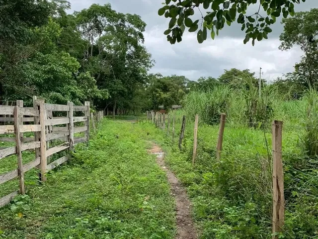 Imagem 6: Sítio 3 Dormitórios À Venda Área Rural de Cuiabá Cuiabá/Mt