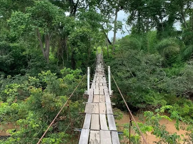 Imagem 9: Sítio 3 Dormitórios À Venda Área Rural de Cuiabá Cuiabá/Mt