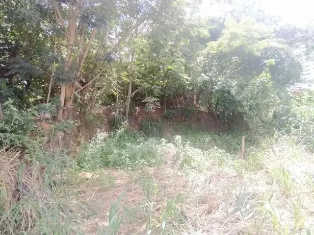 Imagem 6: Terreno Bem Localizado no Bairro Quilombo