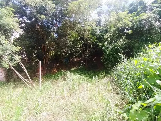 Imagem 3: Terreno Bem Localizado no Bairro Quilombo