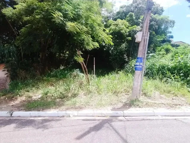 Imagem 4: Terreno Bem Localizado no Bairro Quilombo