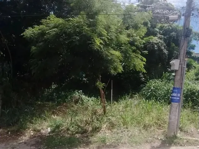 Imagem 2: Terreno Bem Localizado no Bairro Quilombo