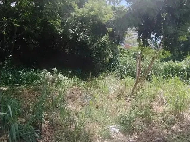 Imagem 5: Terreno Bem Localizado no Bairro Quilombo