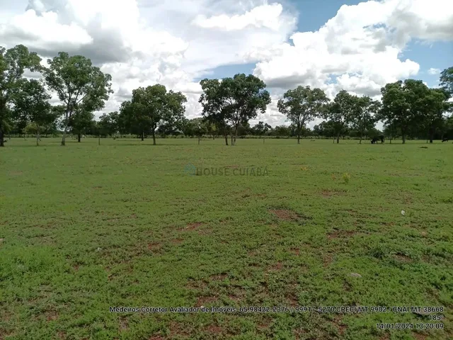 Imagem: Fazenda Dupla Aptidão com 243 Hectares