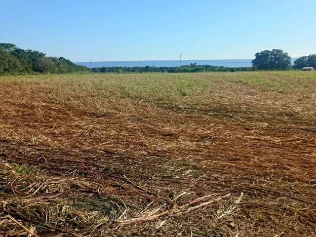 Imagem 9: Fazenda 1994 Hectares Documentada Cuiabá Mt
