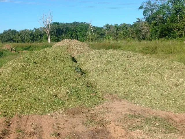 Imagem 11: Fazenda 1994 Hectares Documentada Cuiabá Mt
